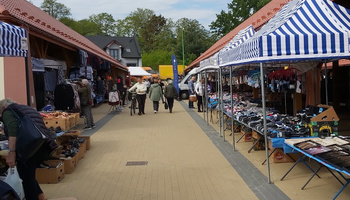 Mobilny Punkt Spisowy w Sokołowie Małopolskim