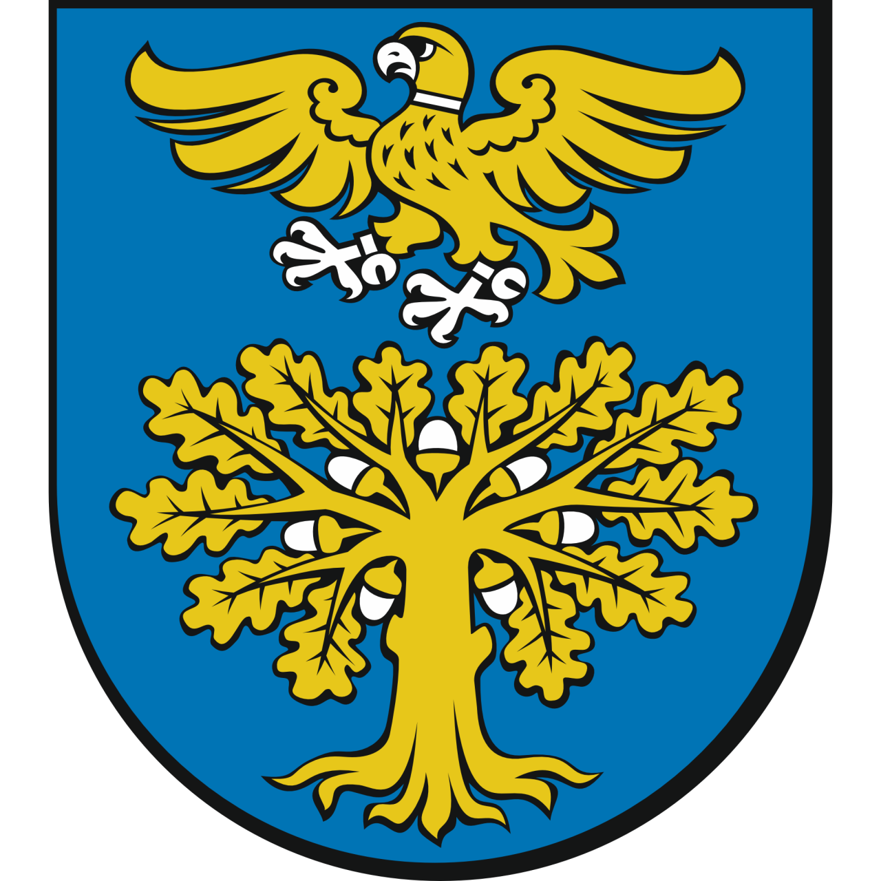 
            Sokołów Małopolski