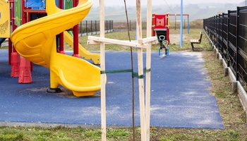 Młode drzewo zabezpieczone drewnianymi palikami i taśmą stabilizującą przy placu zabaw w Trzebusce. W tle kolorowa zjeżdżalnia, urządzenia zabawowe i ogrodzenie.